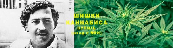 бошки Белокуриха
