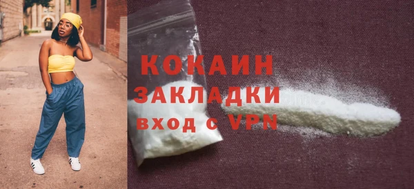 бошки Белокуриха